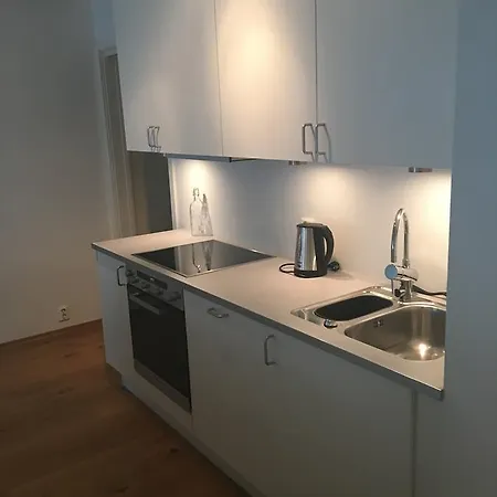 Large 1 Bedroom With Balcony Apartment Oslo