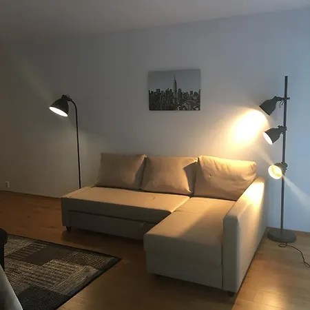 Large 1 Bedroom With Balcony Apartment